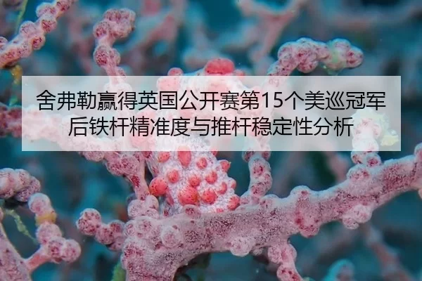 舍弗勒赢得英国公开赛第15个美巡冠军后铁杆精准度与推杆稳定性分析